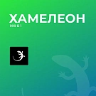 ХАМЕЛЕОН — 999 в 1. Безлимитный конструктор лендингов с корзиной и функциями для «автоворонок»